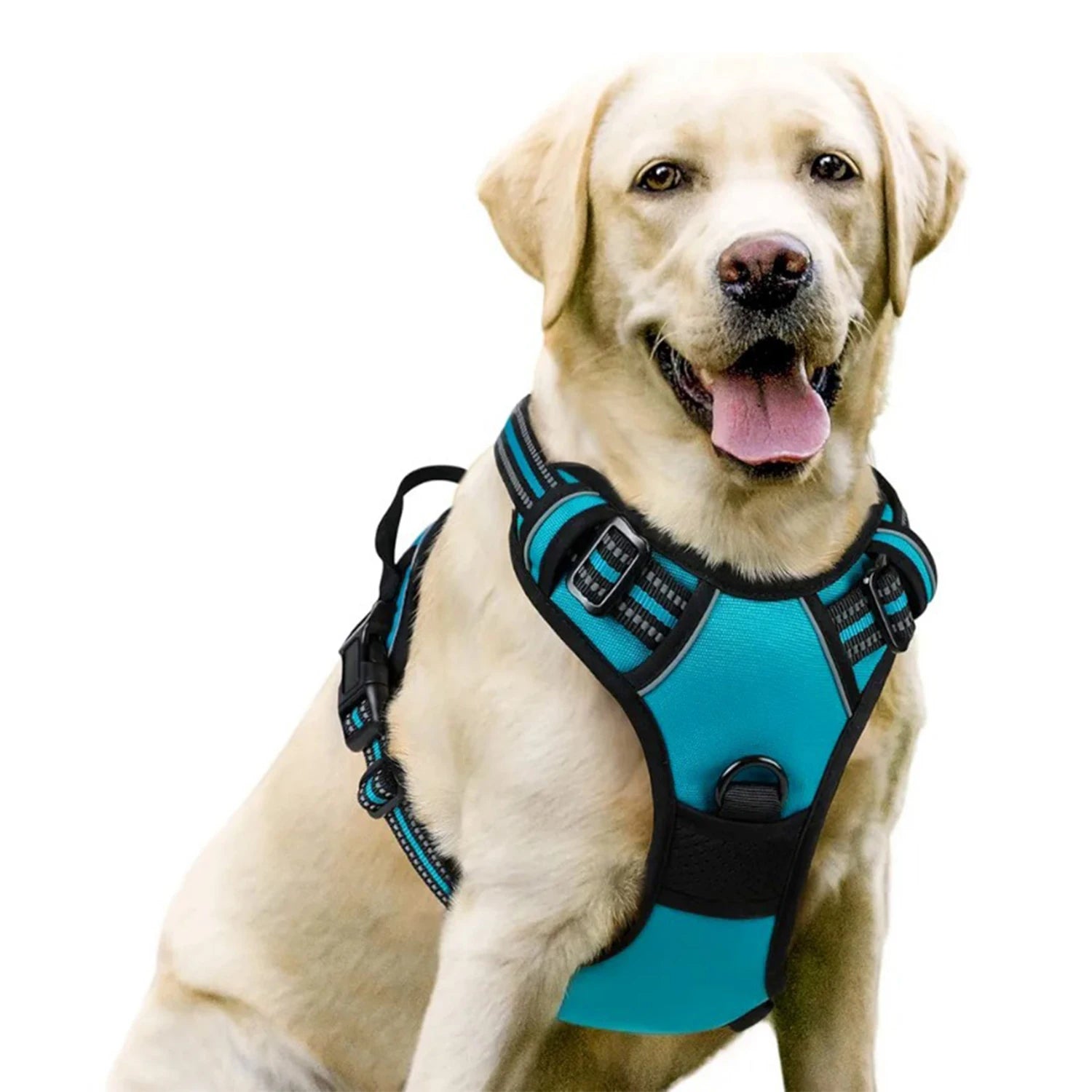 Harnais DoucePatte™ – Harnais Confort pour Chien & Chat