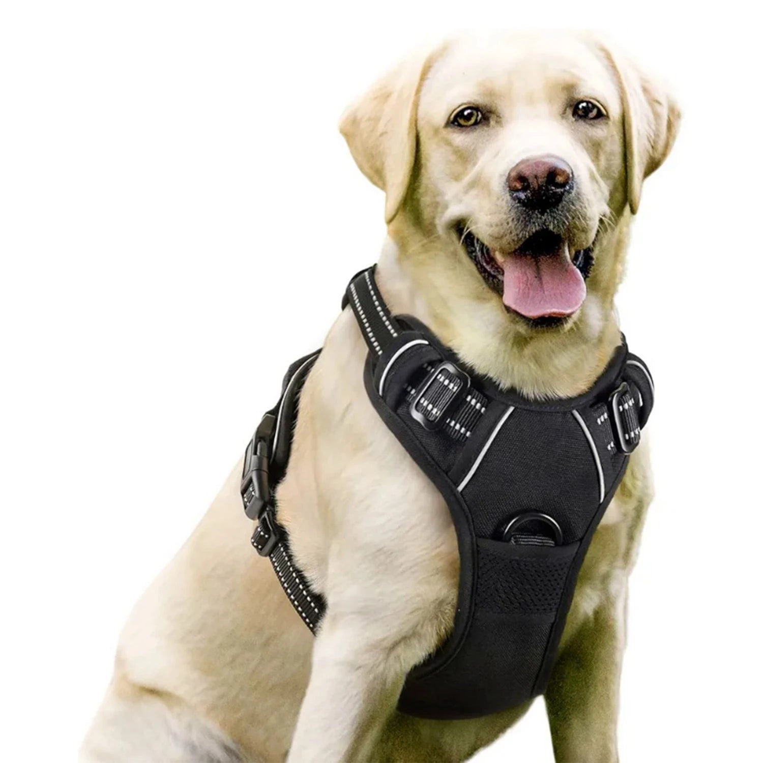 Harnais DoucePatte™ – Harnais Confort pour Chien & Chat