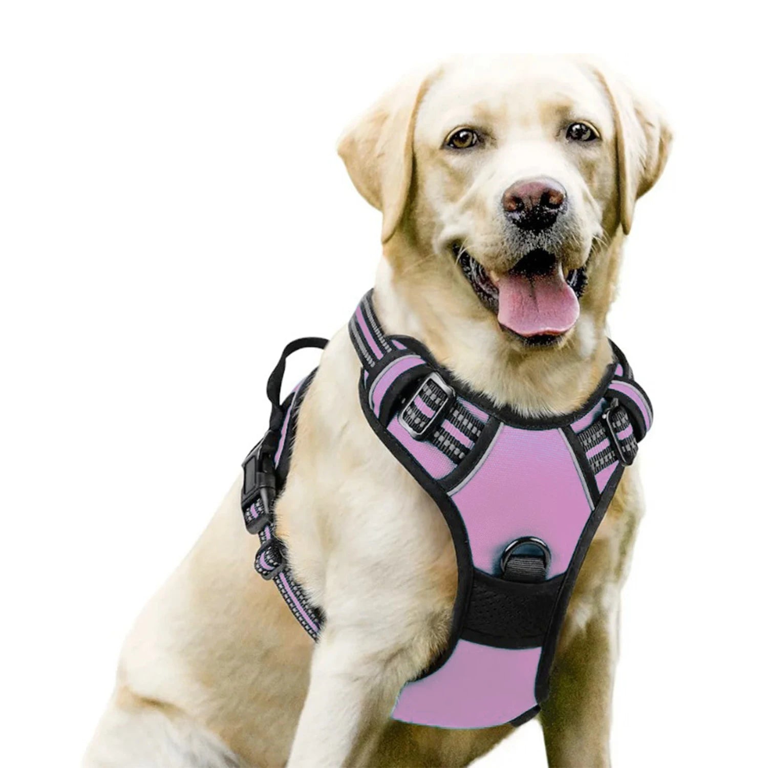 Harnais DoucePatte™ – Harnais Confort pour Chien & Chat