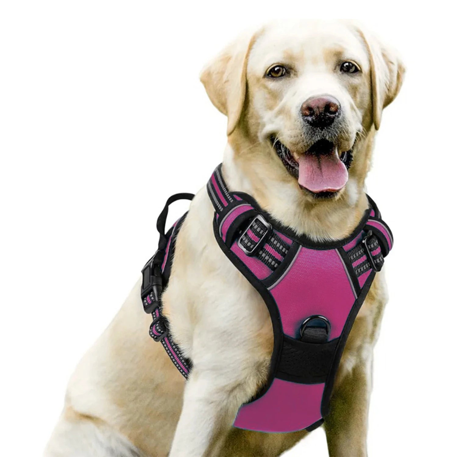 Harnais DoucePatte™ – Harnais Confort pour Chien & Chat