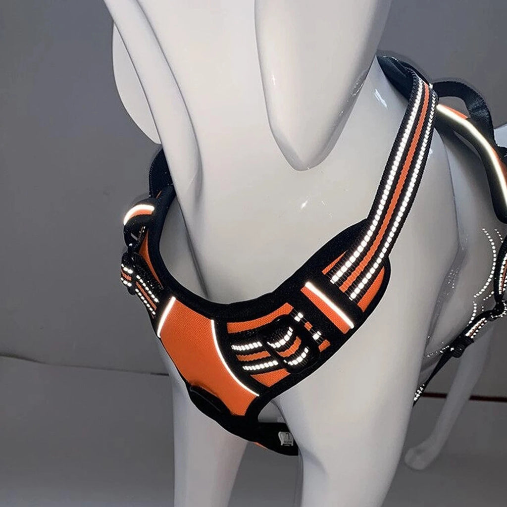 Harnais DoucePatte™ – Harnais Confort pour Chien & Chat