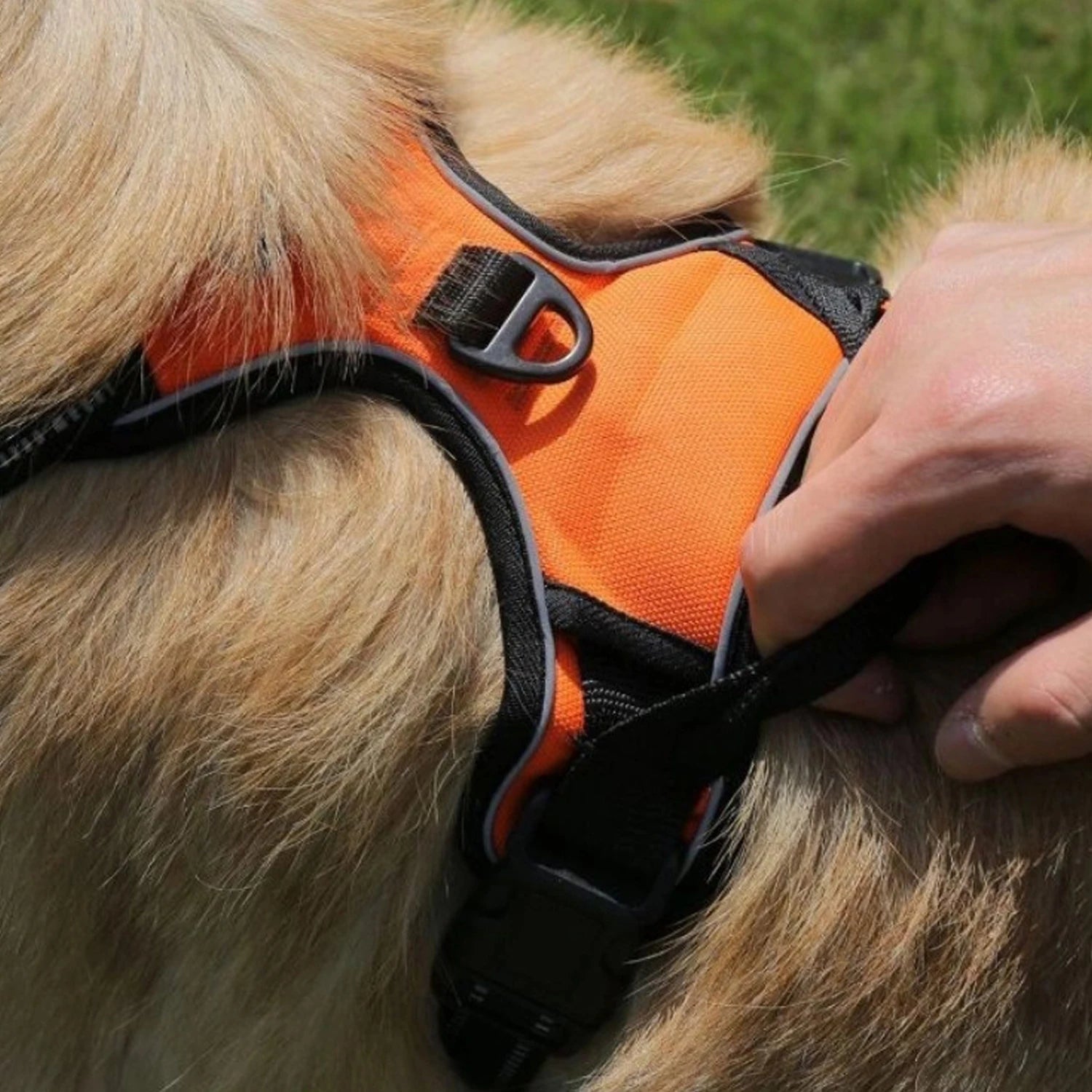 Harnais DoucePatte™ – Harnais Confort pour Chien & Chat