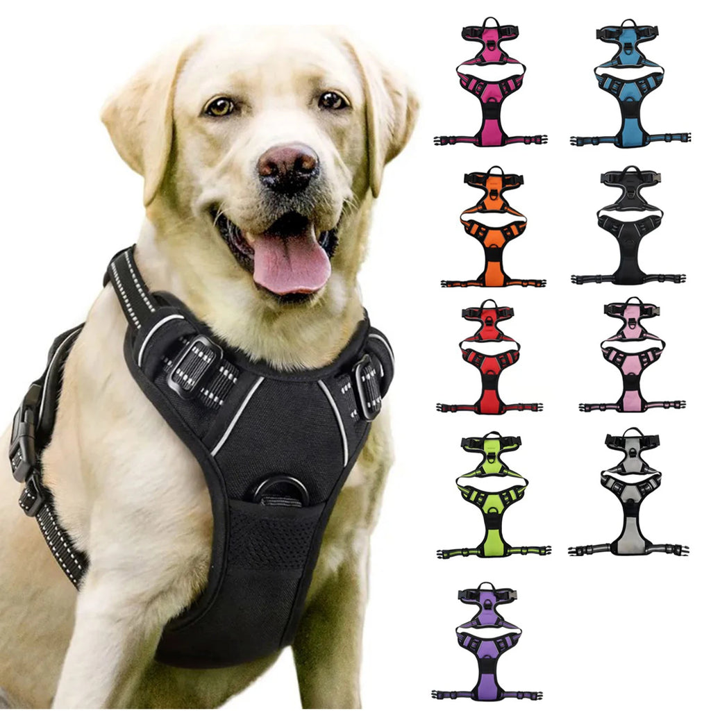 Harnais DoucePatte™ – Harnais Confort pour Chien & Chat