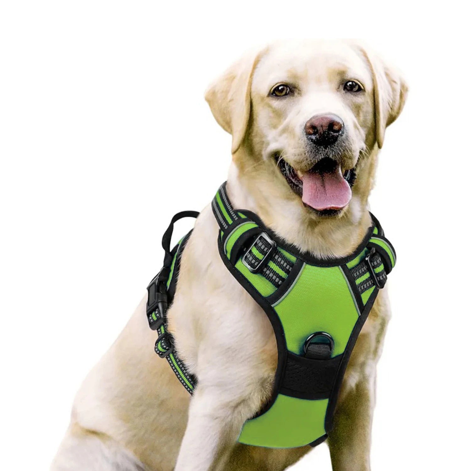 Harnais DoucePatte™ – Harnais Confort pour Chien & Chat