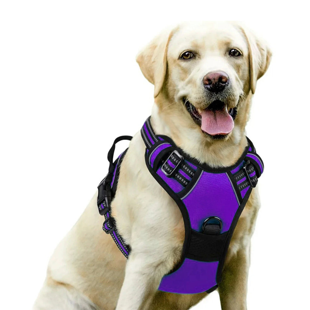 Harnais DoucePatte™ – Harnais Confort pour Chien & Chat
