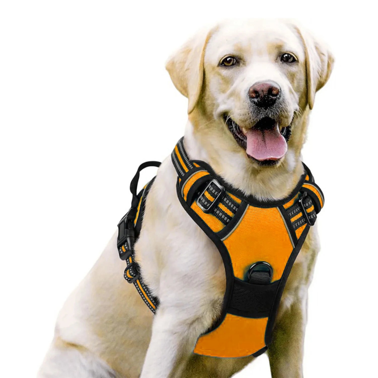 Harnais DoucePatte™ – Harnais Confort pour Chien & Chat