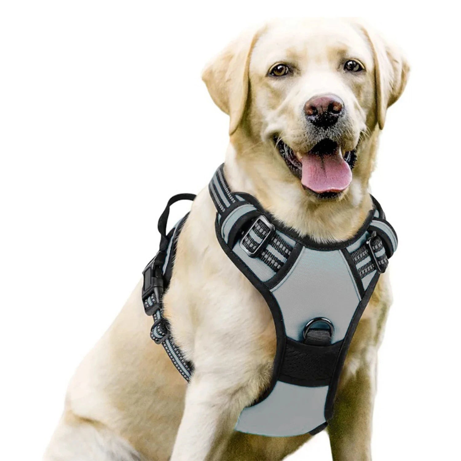 Harnais DoucePatte™ – Harnais Confort pour Chien & Chat