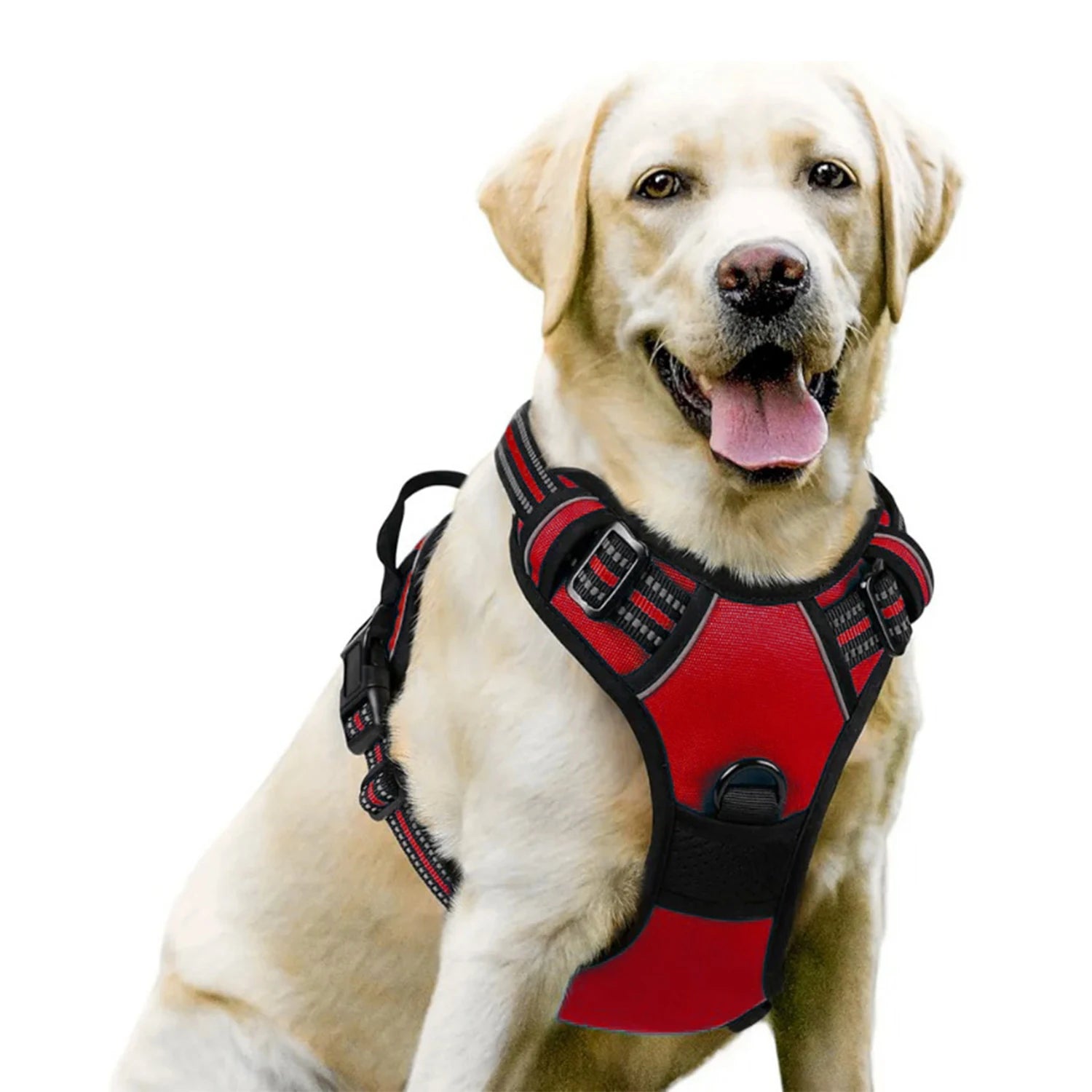 Harnais DoucePatte™ – Harnais Confort pour Chien & Chat