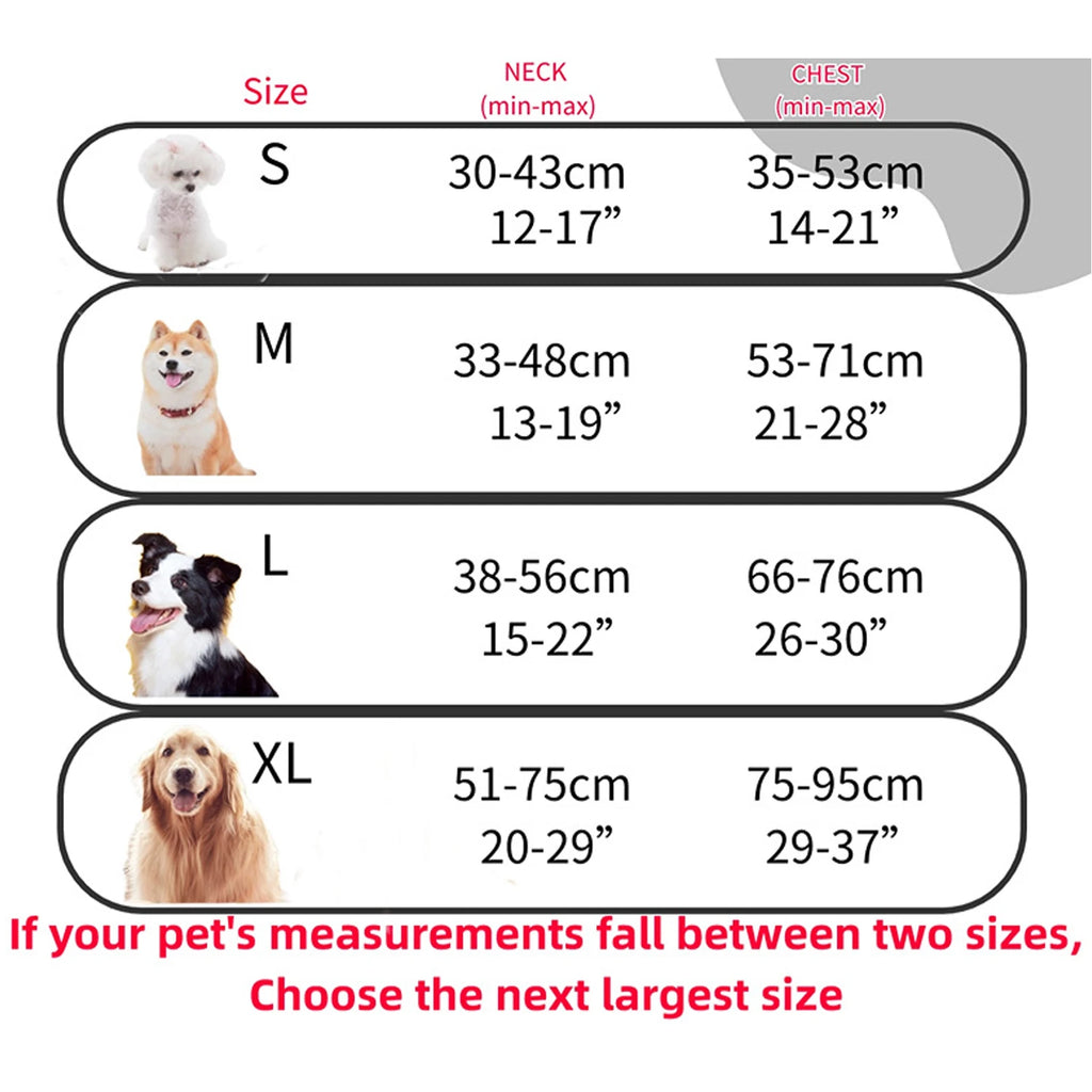 Harnais DoucePatte™ – Harnais Confort pour Chien & Chat