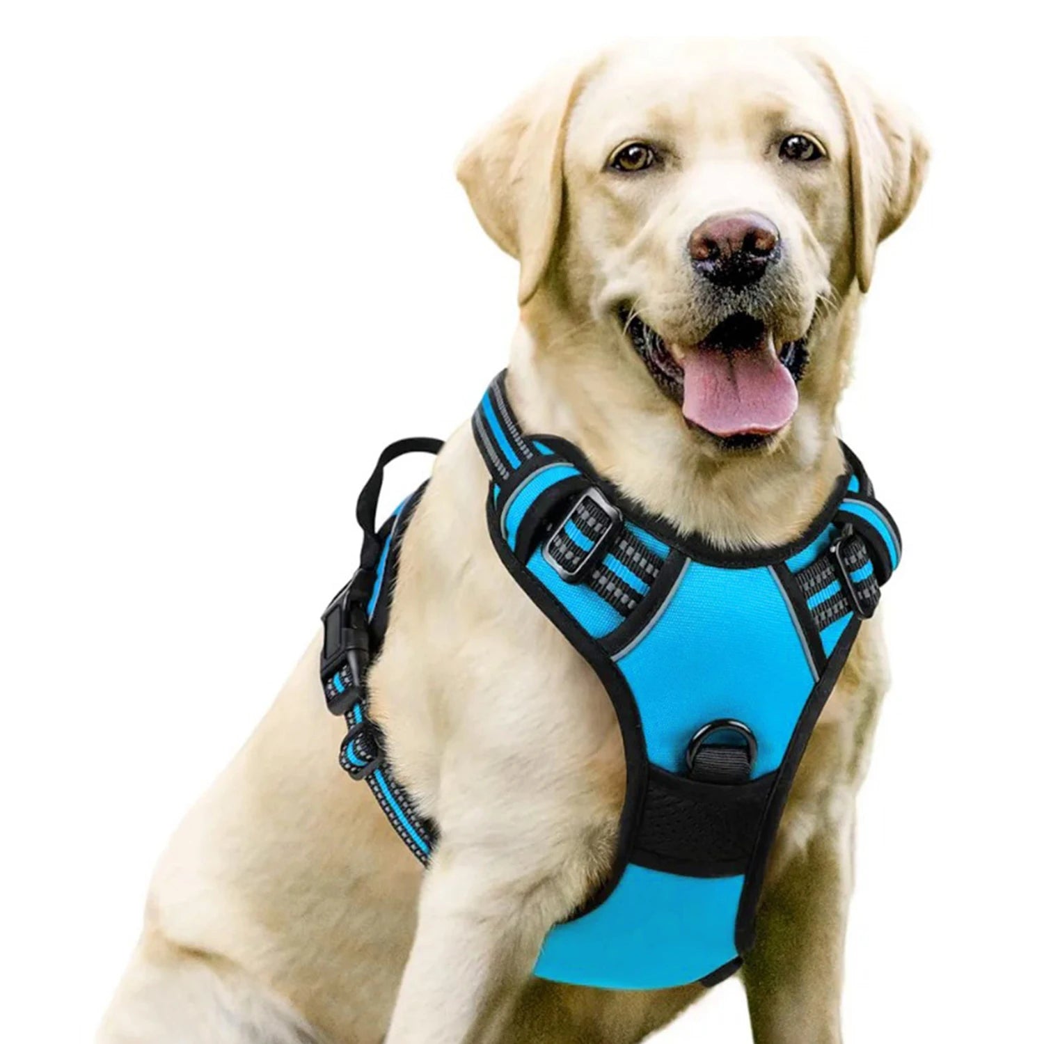 Harnais DoucePatte™ – Harnais Confort pour Chien & Chat